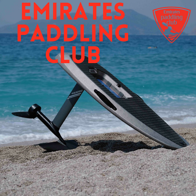 Paddlershub